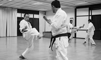 INSTRUCTORES DOJO